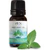 MY BENEFIT Srl ZEN MINT SPIRIT OIL 10ML