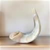 Corno Ram 15-18" Kosher Jewish SHOFAR completamente lucidato buona qualità su...
