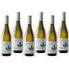 Belisario Vino Bianco Pecorino 2025 Igp Terre Di Chieti 75 cl 6 Bottiglie