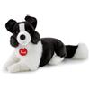 TRUDI TUDN8000 BORDER COLLIE SCOTT TAGLIA MEDIUM CM.15X23X30