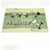 Arachidi Peanuts × FamilyMart Snoopy Family Campaign Skateboard A4 Clear File Japan