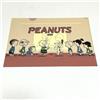 Arachidi Peanuts Snoopy × FamilyMart A4 Clear File Promo Bonus Japan Limited Rare