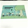 Arachidi Peanuts × FamilyMart Snoopy Family Campaign PicnicArt Park A4 Clear File Japan