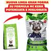 GRAN FORMA SUPER PREMIUM Gran Forma Dog SuperPremium (Formula Mc Kerk) Monoproteico Adult Medium Maxi Coniglio 12 kg