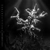 Lisa Gerrard ‎- The Silver Tree (CD + DVD, Album, 2006)