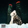 DRAKE & PARTYNEXTDOOR - $Ome $Exy $Ongs 4 U (2025) CD pre order