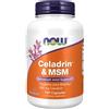 NOW FOODS Celadrin e MSM 500 mg 120 St