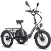 Fafrees Triciclo elettrico da carico Fafrees F20 Mate con batteria da 48 V 21