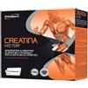 Creatina ES Italia Ethicsport Creatina Vector 20 Bustine 8 G pz Bustina