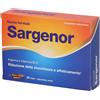 Sargenor Fiale 100 ml Soluzione orale