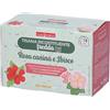 pdmtobemaintained Naturplus Tisana Fredda Ricostituente Rosa Canina e Ibisco 30,6 g Infusione