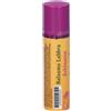 Dr. Theiss Balsamo Labbra Echinacea 5,7 ml Protezione per le labbra