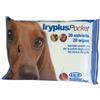 Iryplus Pocket Salviettine 20P 20 pz Salviette