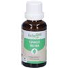 Herbalgem Ginko Biloba Giovani Foglie Concentrato di Gemme Fresche Gocce 30 ml Soluzione orale
