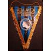 GAGLIARDETTO SQUADRA DI CALCIO ATALANTA VINTAGE PENNANT ANNI 80 NUOVO