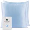 RUIPTSKE Federa in seta per cuscino 100% seta 22 momme certificata Oeko-TEX®, benefici per capelli e pelle anti età, anti acaro (azzurro, 40 x 40 cm-2pz)