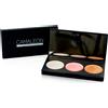 Camaleon Palette illuminante in crema - Illuminante viso a 3 colori con oli naturali, 7,5 g