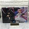 BANPRESTO Set di 2 figure Puella Magi Madoka Magica Rebellion EVOLVE Devil Homura Madoka