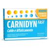 ALFASIGMA SpA ALFASIGMA Carnidyn Fast Magnesio/Potassio 12 Bustine Integratore per Stanchezza e Recupero Energetico