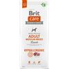 Brit Care Hypoallergenic Cane Adulto Medium Agnello 12