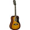 EKO Chitarra Acustica Elettrificata 12 Corde Eko Ranger XII VR Honey Burst EQ