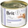BRIT Veterinary Diet Grain Free Gastrointestinal 200 g alimento con salmone con piselli per cani con un sistema digestivo sensibile