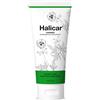 SCHWABE PHARMA ITALIA SRL Halicar crema fluida adulti - Indicata per dermatite, eczemza, orticaria e prurito - Formato 200 ml