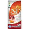N&D Pumpkin Adult Medium Maxi Pollo e Zucca 12KG