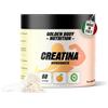 Golden Body Nutrition - Creatina Monoidrata in Polvere - Integratore per Allenamento - 100% Vegano e Senza Lattosio - 300 gr. - Solubilità ottimale - Alto dosaggio (300 g, Arancia)