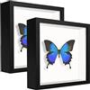 sunmeg 2Pcs Cornice Profonda 14 x 14 cm 3D Cornice per Foto Cornice Contenitore Riempibile Forma Quadrata da Appendere a Parete o Desktop