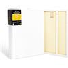 Elan Tela per Dipingere 50x60 380 gr, Set da 6 Tele per Dipingere 50x60, 100% Cotone Tele Pittura, Canvas for Painting 380 GSM, Tela 60x50