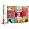 Trefl - Ritratti divertenti di gatti - Puzzle 1500 Tessere - Puzzle fai da te con Gatti Divertenti, Intrattenimento Creativo, Divertimento, Puzzle Classico per Adulti e Bambini dai 12 anni