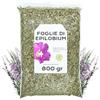 EPEL Epilobio Parviflora Tisana 800g - Epilobio Parviflorum - Epilobio - Epilobium Prostata - Infuso di Epilobium - Infusi Sfusi - Proprietà Naturali (800 gr)