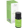 T TEX Srl Arya Hd Sin Olio Rinf Menta