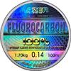 LAZER LINE Filo da Pesca Trasparente Fluorocarbon 100m DIA 0,14mm Test 1,7kg - Lenza da Pesca Trota Lago Carpa Luccio - Lenze Spinning per Aqua Dolce e Salata - Method Feeder Kit - Fishing Accessories