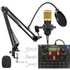 URCheers Scheda audio dal vivo, scheda effetti sonori V8S con 16 effetti mixer DJ, 16 effetti sonori dal vivo, 8 modalità divertenti, scheda audio esterna per karaoke per computer portatile, mixer audio stereo
