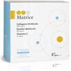 DDM Matrice Integratore Antinfiammatorio e Cicatrizzante 14 Bustine