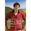 In cammino Carlo Acutis