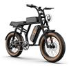 Urlife Bicicletta elettrica fuoristrada URLIFE T2 con motore da 250 W e batte