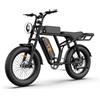 Urlife Bicicletta elettrica fuoristrada URLIFE T2 con motore da 250 W e batte
