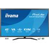 iiyama ProLite X4373UHSU-B2 Monitor da 43 pollici con risoluzione 4K