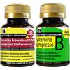 LABOTTEGADEGLIINTEGRATORI Set di Integratori Circolazione Antiossidante + Energia | Diosmina Esperidina Bioflavonoidi 100 Compresse + Vitamine Complesso B 400 Compresse