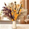 Peygre 100 Pz Erba della Pampas Decorative, 43cm Bouquet di Erba della Pampas Fiori Secchi per Vaso Decorazioni Domestiche Boho fai da te, Centrotavola per Matrimoni Decorazione da Tavolo da Pranzo