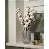 Nina-Maria's Deko Gold Stelo Naturale con Capsule di Cotone - 1 Pezzo con 10 Teste, Fiore Essiccato per Vasi, Bouquet di Fiori Secchi, Ornamento per Nozze o Tavola, Dried Flowers
