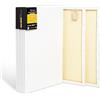 Elan Tela per Dipingere 40x60 380 gr, Set da 6 Tele per Dipingere 40x60, 100% Cotone Tele Pittura, Canvas for Painting 380 GSM, Tela 60x40