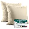 Flowen Federe Cuscini Divano e Letto 65x65 Set da 2 Copricuscini in Microfibra Fodere Lavabili e Resistenti 65 x 65 cm Tessuto 100% Poliestere Traspirante Anallergico Antiacaro Ideali per Arredo Casa