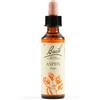 Schwabe Pharma Aspen Bach Orig 20 Ml