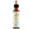 Schwabe Pharma Beech Bach Orig 20 Ml