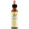 Schwabe Pharma Mustard Bach Orig 20 Ml