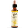 Schwabe Pharma Cerato Bach Orig 20 Ml
